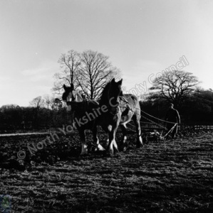Ploughing, Birstwith